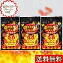 オキハム 激辛 ミミガージャーキー 23g×3袋セット 沖縄ハム やみつき 旨辛 豚耳 珍味 沖縄 沖縄定番 おつまみ