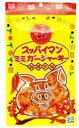 スッパイマンミミガージャーキー 25g 10袋セット ジャーキー 詰め合わせ ビールのおつまみ 酒肴 沖縄 珍味 豚肉加工品 酒の肴 酒のつまみ 珍味 お酒のつ...