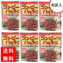 オキハム コンビーフハッシュパウチ 65g×6袋 常備食 大容量 沖縄定番 常備 パウチ 沖縄ハム 沖縄ハム総合食品 沖縄料理 沖縄