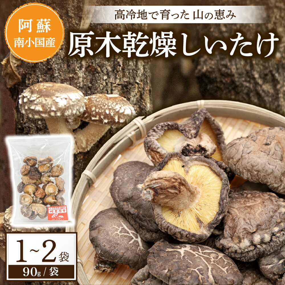 【送料無料】 熊本県産 干し椎茸 乾燥しいたけ 原木しいたけ 90g 1～2袋 袋乾燥野菜 しいたけ 原木 乾燥 国産 物産館 特産品 産地直送 きよらカァサ 熊本 阿蘇 南小国町