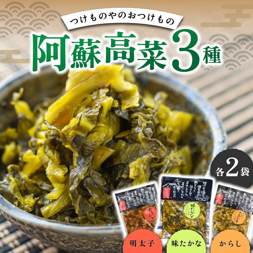 阿蘇高菜 3種 セット 詰め合わせ 高菜漬け 200g 6袋 高菜明太子 からし高菜 浅漬 漬物 たかな めんたいこ からし かつお節 チャーハン アレンジ 物産館 特産品 南小国町 きよらカァサ 九州 熊本 阿蘇 黒川温泉 老舗 つけもの屋 平野商店