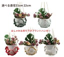 プラントハンガー 直径31cm 22cm ハンキングプランター 北欧 室内 吊り下げ ハンギンググリーン 鉢 植木鉢 観葉植物 吊り下げ エアプランツ ホルダー...