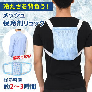 送料無料 冷たさを背負う！保冷剤付きメッシュクールリュック 保冷剤 背中用 冷感 冷却 冷たい ひんやり 暑さ対策 クールダウン 冷ます 長持ち 長時間冷却 保冷 冷凍 アイスパック アイシング 真夏 夏 猛暑 炎天下 メール便