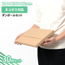 送料無料 A4サイズ たとう式ダンボール 30枚セット ネコポス用カートン (NP-1) 段ボール 梱包 配送 通販 発送 ネットショップ オークション フリマアプリ 定形外 薄型 書類 ゆうパケット 宅配 郵便(3)