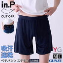 ＼本日店内SALE／ セール 送料無料 YG in.P 男子専用 ペチパンツ ステテコ 3.5分丈 INP003A メンズ 男性 紳士 下着 肌着 インナー パンツ ボトムス アンダーウェア 通気性 薄い 軽量 吸汗 速乾 グンゼ GUNZE メール便