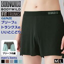 \本日店内EVENT/ POINT GUNZE BODY WILD ボディワイルド ブリーフ内蔵 フィットトランクス 前とじ BWT001A トランクス メンズ...