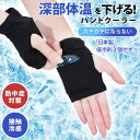 送料無料 深部体温を下げる!両手用ジェル保冷剤付き接触冷感ハンドクーラー 保冷剤入れ 子供 レディース 大人 手のひら 冷やす グッズ ハンドカバー 2枚組 冷...
