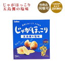 【ご当地限定】じゃがほっこり　五島灘の塩味　18g×8袋【九州土産】