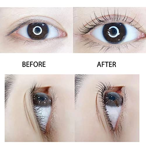 SILKY ROLLS �դ��ޤ��ӥ����륻�å� �� ���ܸ��������դ�