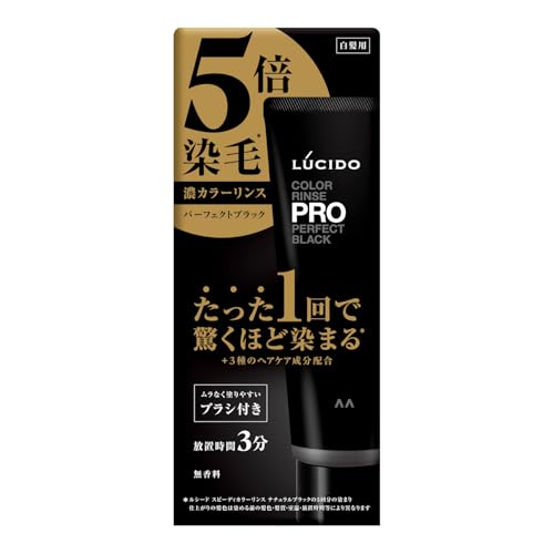 LUCIDO(ルシード) カラーリンスPRO パーフェクトブラック[ カラーリンス カラートリートメント ] 120g