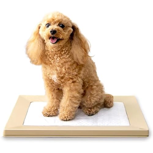 �����ꥹ������� �� �ȥ��� ���Ĥ� ������� ���������ɥå��ȥ졼 ������� �ޥ��ͥå� �쥮��顼 �١����� ��������