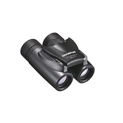OLYMPUS ダハプリズム双眼鏡 10x21 RCII �