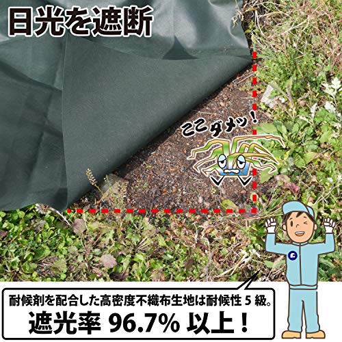 アストロ 防草シート グリーン 1×10m 10枚組 不織布 厚手 高透水 UV耐候剤配合 高...