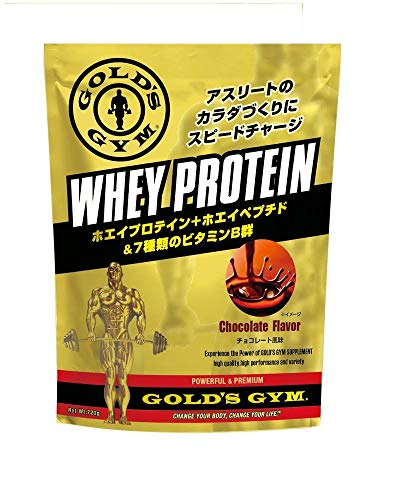 ゴールドジム(GOLD'S GYM) ホエイプロテイン チョコレート風味 360g