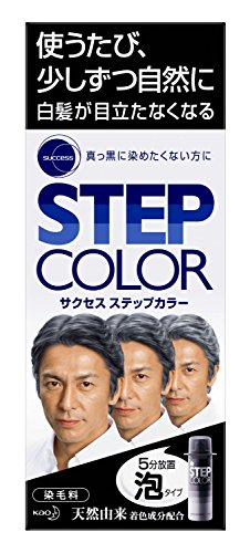 Other - サクセス ステップカラー 110g