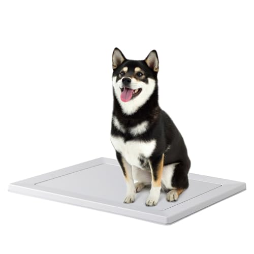 �����ꥹ������� �� �ȥ��� ���Ĥ� ������� ���������ɥå��ȥ졼 ������� �ޥ��ͥå� �磻�� �饤�ȥ��졼 ��������