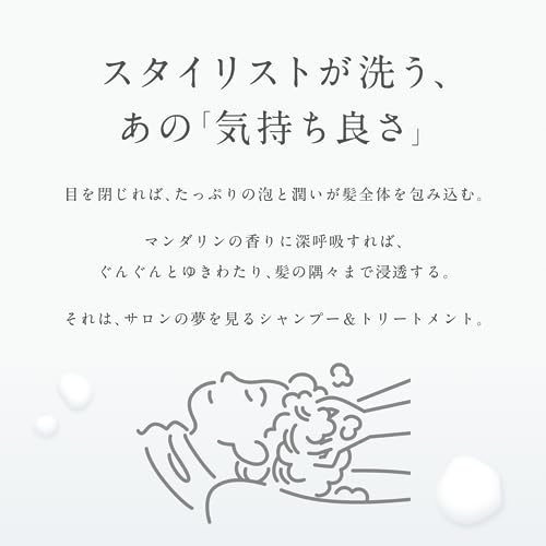 LIPPS (リップス) スタイリスト トリートメント 詰め替え 350g マンダリンの香り メンズ レディース