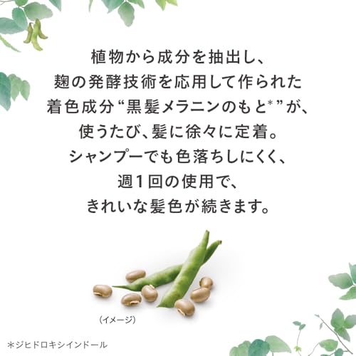 ブローネ ナチュリラ 色長持ちカラートリートメント ブラック つけかえ 155g