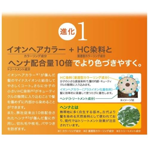 Motto ボタニカラー トリートメント 詰替用 ダークブラウン 500g