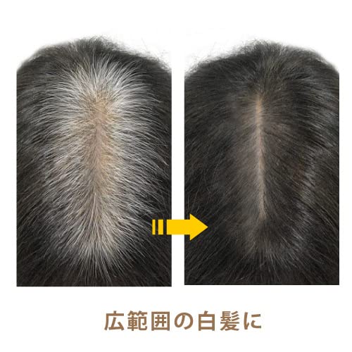 グリーンノートグリーンノート ヘアカラーファンデ ブラック
