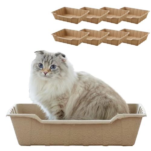 ��OFT�� ECO CAT TRAY(��������åȥȥ졼) 3���ȡ�3���å� �ð�տ侩 ������(��)����45.5cm�߱���35cm�߹⤵10.