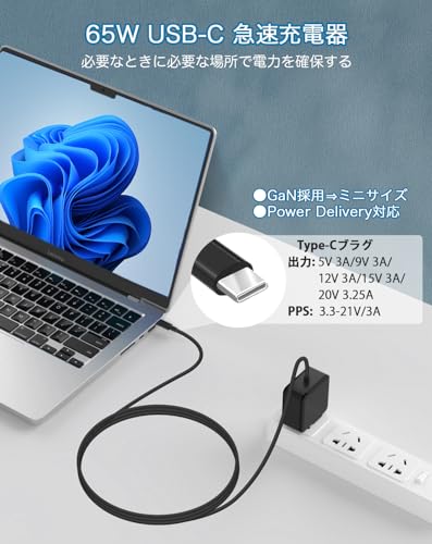 BOLWEO レノボ 用 acアダプター タイプ C 65W 45W 20V 3.25A対応 lenovo/レノボ交換用 65W USB-C 充