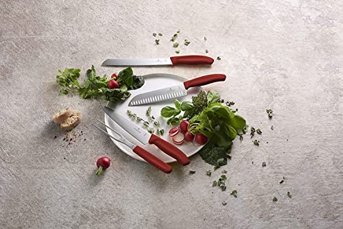 VICTORINOX(ビクトリノックス) 包丁セット 食洗機対応 牛刀包丁とフォーク2本セット ギフトボックス入り レッド BBQやステーキを焼