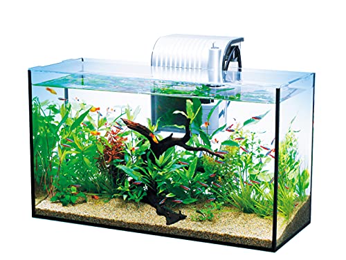 テトラ (Tetra) 水槽 オールグラスアクアリウム GA-520F 水槽 アクアリウム 熱帯魚  ...
