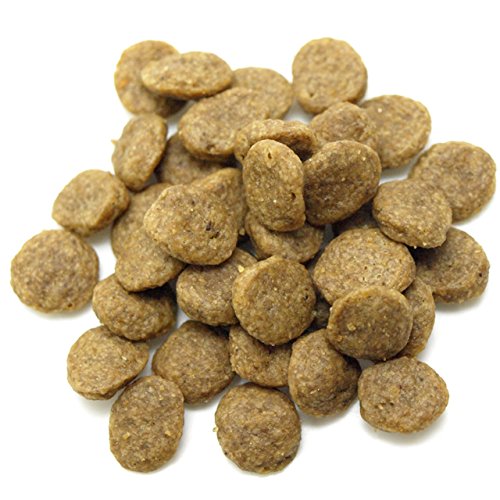 �����ѡ�������� �ե��å��奢��ɥݥƥ� �Ҹ����� 2.4kg