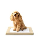 アイリスオーヤマ 犬 トイレ スクエアドッグトレー 挟むだけ マグネット レギュラー ベージュ 水洗い可(4)