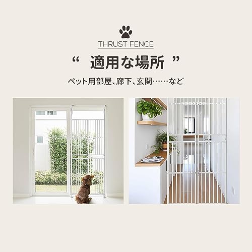 BTM �ڥåȥ����� æ���ɻ� �� ���å��դ� �ɥ� �ե��� α���� �ݸ� ǭ�� ¿Ƭ���� ¿Ƭ �������� �ڥåȥ����� ϭ�� ���� ���ӽФ�