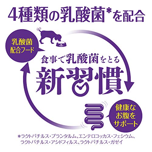 ������ͥ� �ɥå��ա��� �������� �νŴ�����(1�аʾ�) ����ץ�(��ʪ����륲�����θ) �������&���㤬����(��ʪ�Ի���) 1.8��������