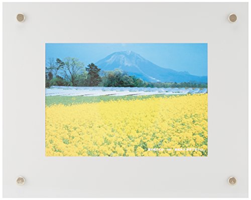 FUJICOLOR 額縁 プロフレーム 2L アクリル シルバー 40100