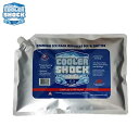 COOLER SHOCK クーラーショック COOLER SHOCK Large 単品 7CSLS 【 保冷剤 アウトドア キャンプ BBQ 海 川 イベント フェス 祭り 夏 】