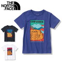 THE NORTH FACE m[XtFCX S/S Graphic Tee V[gX[uOtBbNeB[ NTJ32331 y{Ki/TVc//LbY/qǂzy[ցEsz