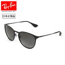 Ray-Ban レイバン ERIKA METAL エリカメタル RB3...(4)