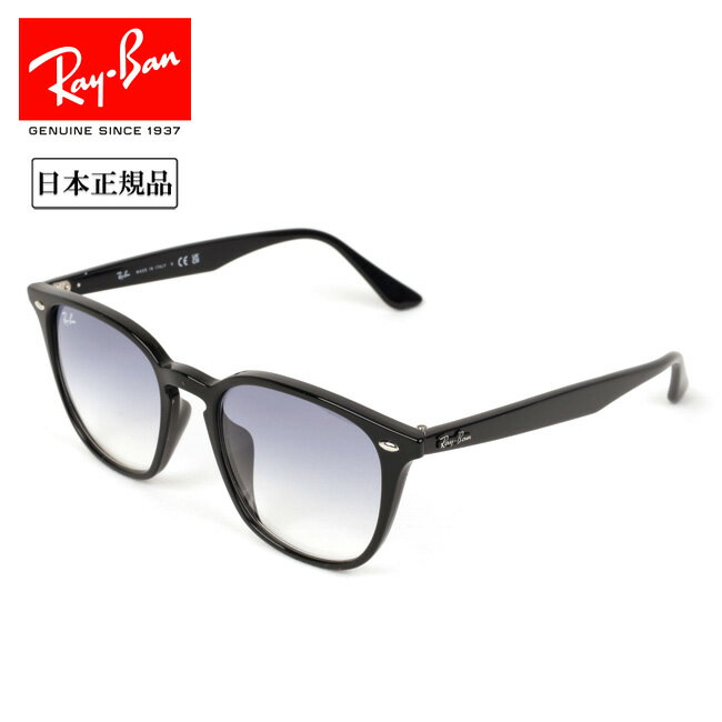 【エントリーでP10倍★9日20:00～16日1:59まで】Ray-Ban レイバン RB4258 601 19 52 日本正規品 サングラス ローブリッジフィット 1