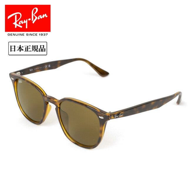 Ray-Ban レイバン RB4258 710 73 52 日本正規品 サングラス ローブリッジフィット