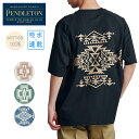 PENDLETON ペンドルトン Plating Single Jersey Back Print S/S Tee プレーティングシングルジャージーバックプリントショートスリーブティー 4275-6013 【 Tシャツ 半袖 吸水速乾 綿100％ コットン ドローコード トップス 】【メール便 代引不可】