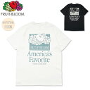 FRUIT OF THE LOOM フルーツオブザルーム プリントTシャツ32 80460800/80460900 