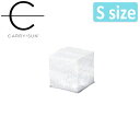 CARRY THE SUN キャリー・ザ・サン Small Cool Bright スモールクールブライト White Belt CTSC-WHS 【 ランタン...