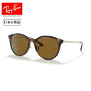 Ray-Ban レイバン RB4334D 710/83 55 【 日本正規品 サングラス ローブリッジフィット 偏光 ポラライズド アウトドア 】(4)