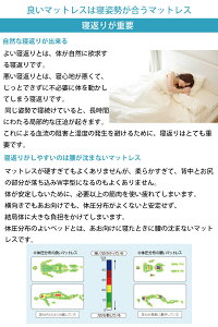 ソファベッドシングルブラックブラウン本革フランスベッドルーカス組立設置込引取処分可