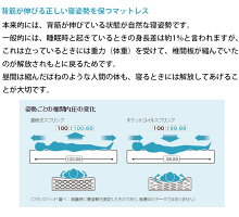 ソファベッドシングルブラックブラウン本革フランスベッドルーカス組立設置込引取処分可