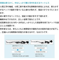 ソファベッドシングルブラックブラウン本革フランスベッドルーカス組立設置込引取処分可