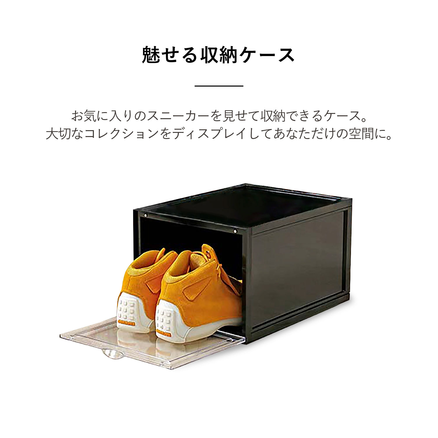 �ں���10%OFF�����ݥ�ȯ���� 1/14 11:59�ޤǡ� b.c.l �ӡ��������� ���塼�������� ���塼���ܥå��� ��Ǽ 1­ �緿 SHOES CASE SIDE �֥�å� ���ꥢ �� 1277