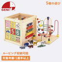 GENI ジェニ 森のあそび箱 型はめ パズル 木琴 1歳半から 知育玩具 おもちゃ 木のおもちゃ ボックス 楽器 エドインター GENI ジェニ 男の子 女の...