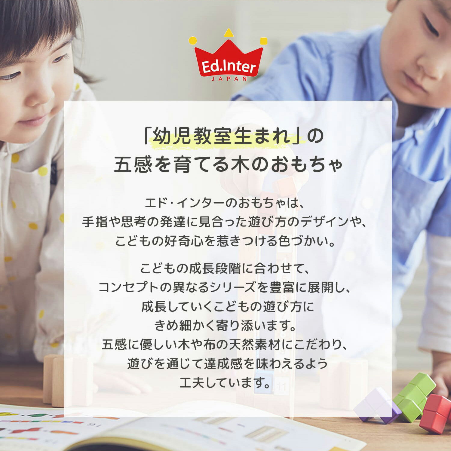 エドインター Ed・Inter 積み木 Tsumin-Natural- 1歳半から 知育玩具 おもちゃ 木のおもちゃ エド・インター 男の子 女の子 820056