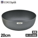 【クーポンで最大1000円OFF！5/7 10:59まで】 COCOpan ココパン 鉄鍋 20cm 深型 IH ガス対応 鉄 リバーライト 極SONS C107-001 アウトドア