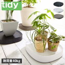tidy ティディ プランタースタンド 鉢皿 鉢台 プランタブル 屋内 キャスター付き PLANTABLE ブラック ホワイト ブラウン 黒 白 OT-668-...